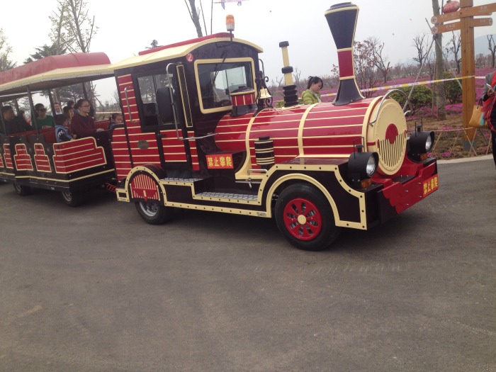 【每日图鉴】火车景观车