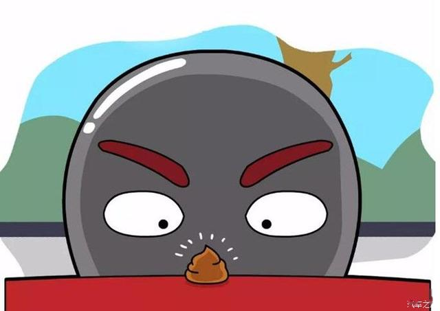 荣威rx5max的新手司机教你如何解决车漆头号杀手——鸟屎