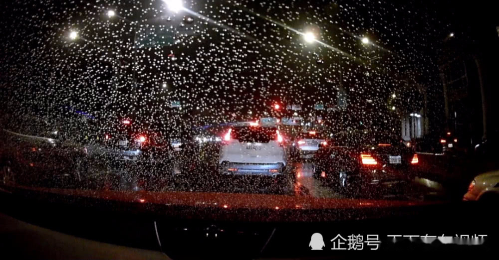 高速開車,若遇暴雨還要開嗎?很多司機都做錯了,這才是正確做法