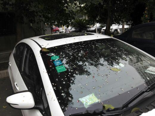 最毁车漆的不是暴晒也不是酸雨,而是它,不想伤车就注意下