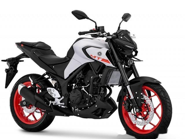 雅马哈双缸运动街车碟刹配abs水冷电喷yzfr3同款发动机
