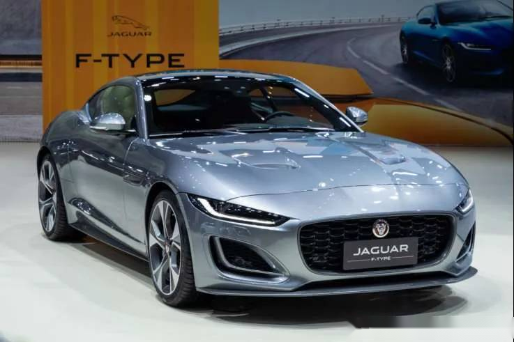 虎豹双行豪华的征服者又张开羽翼