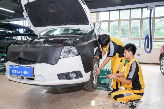 2020各省私家车保有_聚焦新能源2020年海南新能源汽车保有量占比居全国