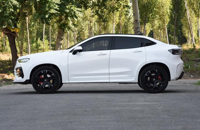 weyvv7gt巴博斯限量版上市不与平庸为伍