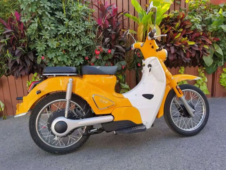 它够靓而且不贵那么你会为这个电动版幼兽买单吗