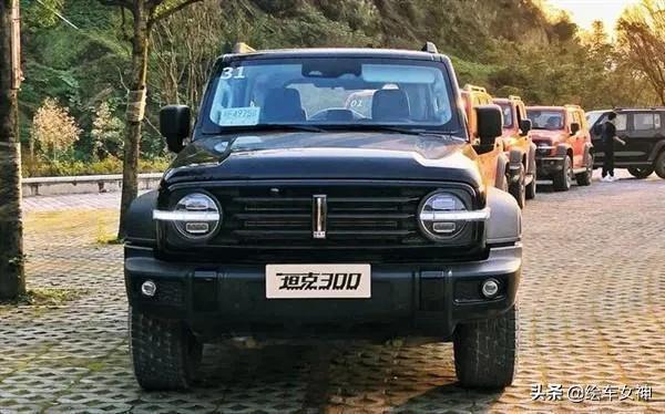 新车猜想长城首款越野mpv或命名哈弗骆驼