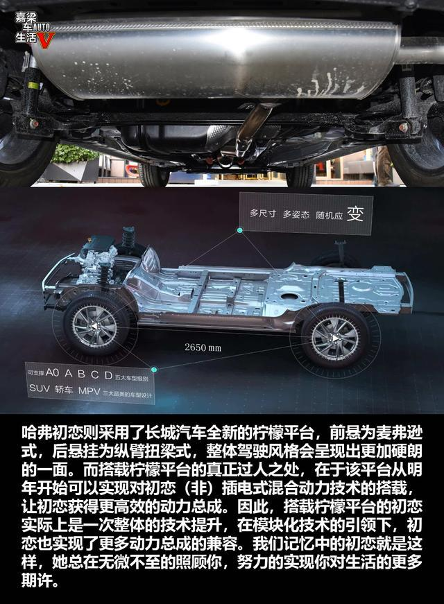 哈弗初恋
