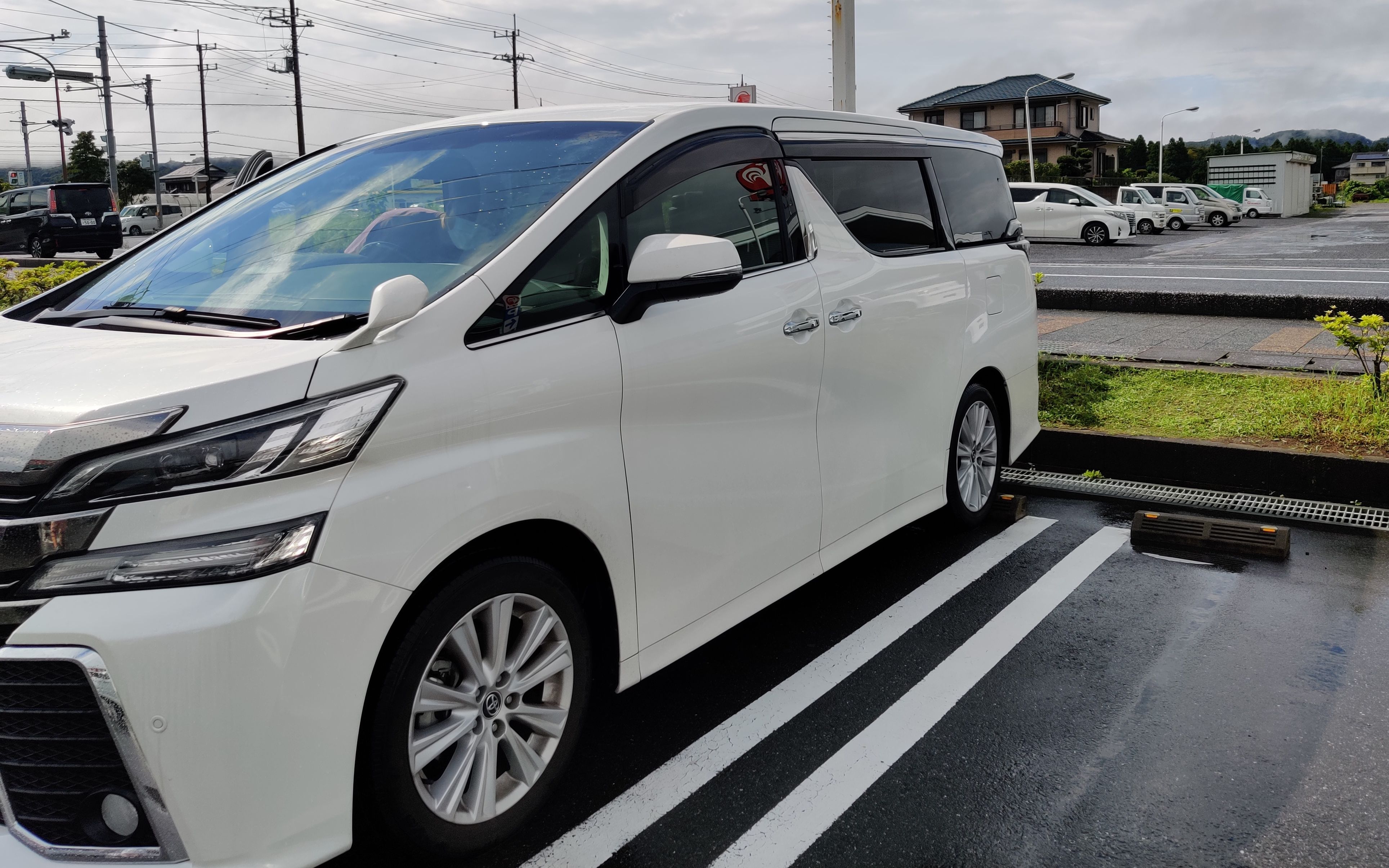 【逮虾户】丰田威尔法体验发卡五连弯下山道